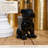 Ceramic Figurine Gloss Finish Black -32051981