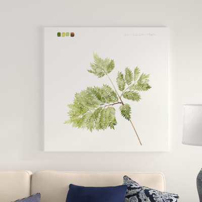 Watercolor Leaf Study II by Grace Popp - Wrapped Canvas Painting Print