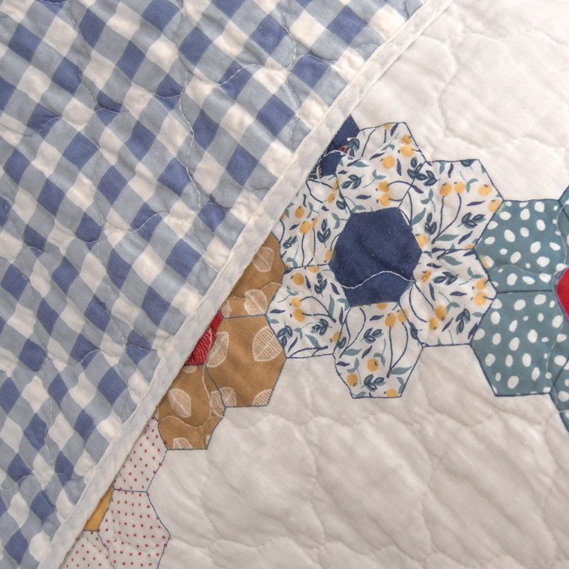 Donna Sharp Prairie Quilted Whole Cloth Cotton 3PC Queen Quilt Set, Queen Quilt + 2 Standard Sham