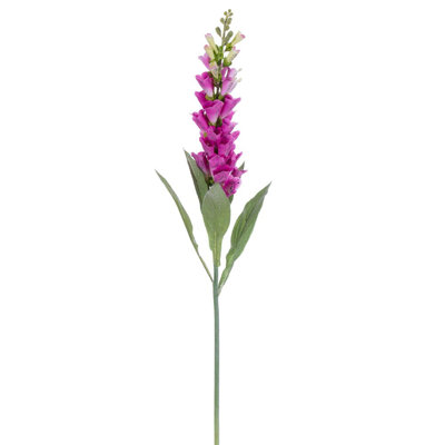 Fuchsia Stem