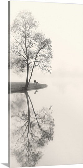Tranquil Morning par Nicholas Bell - reproduction de photo, H 36 po x l 18 po x P 1,5 po, Toile