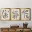 Antique sépia botanicals vii - ensemble de 3 peintures sur toile encadrées-1859238286-1859238287