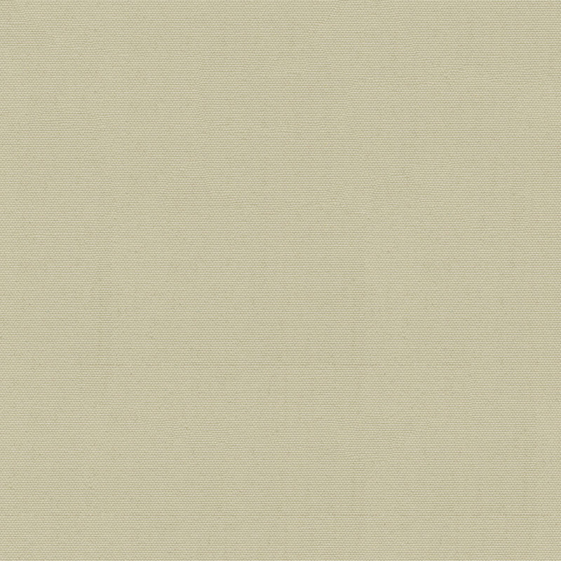 Tissu Top Gun, Bouleau indien