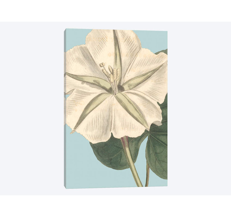 «Fresh Florals IV», impression sur toile, H 40 po x l 26 po x P 1,5 po, Toile tendue