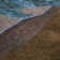 Machine Washable Indoor/Outdoor Xhevrie Brown Rug