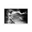 Angel Sculpture - Print on Canvas-42153100-56803689