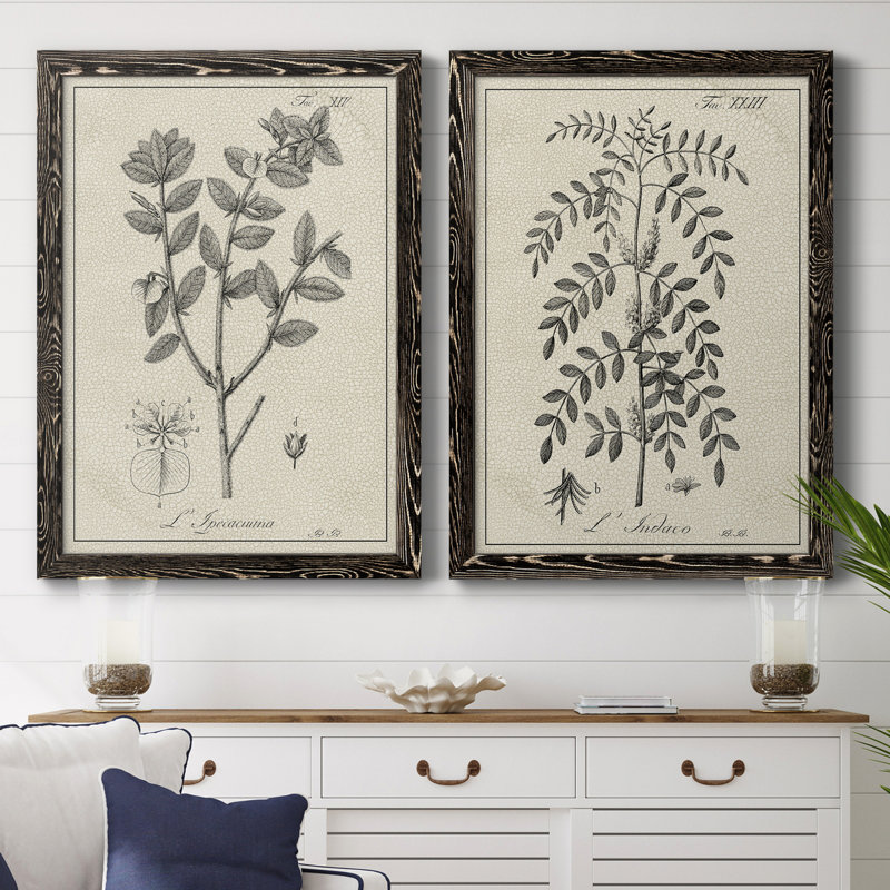 Antique botanique noir et blanc antique - ensemble de 2 reproductions d'art, Toile avec cadre noir, Pas de tapis