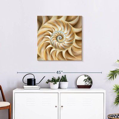 Aletra Nautilus Symmetry
