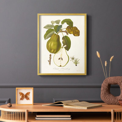 Vintage Pears IV Framed Print - Solid Wood