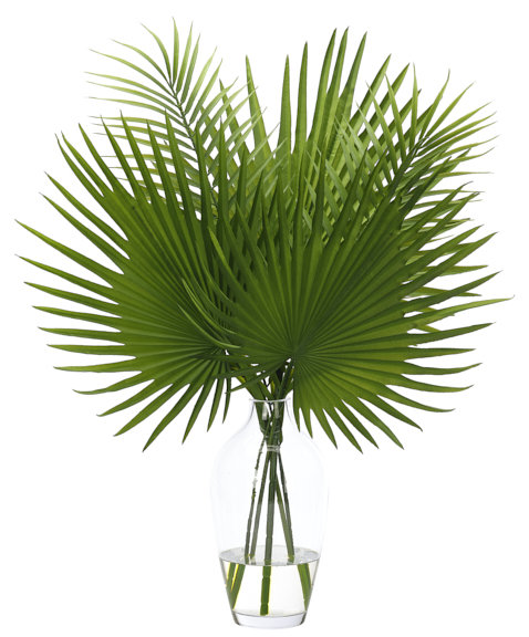 Fan Palm, Green, Glass Vase, 23wx16dx29h