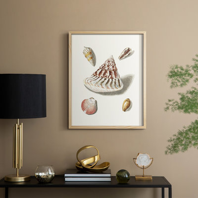 " Pastel Knorr Shells VII "