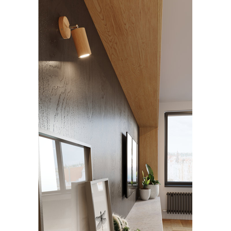 Candelaria Spotlight