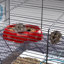 Small Animal Cage