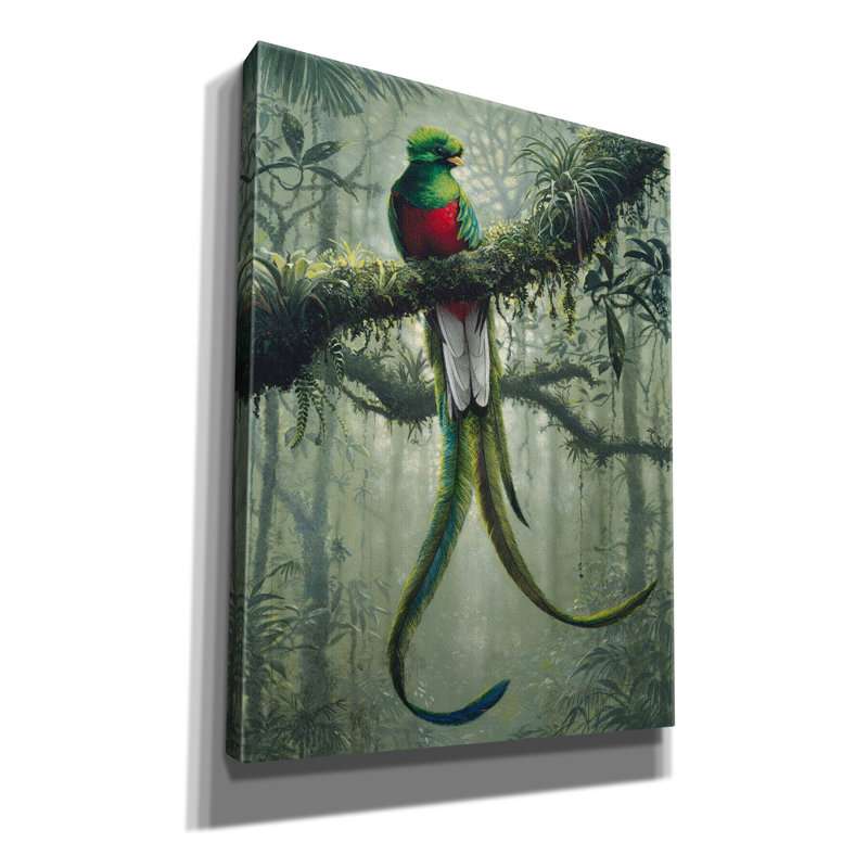 Epic Graffiti «Resplendent Quetzal 2» par Harro Maa, L 12 po x H 16 po x P 0,75 po