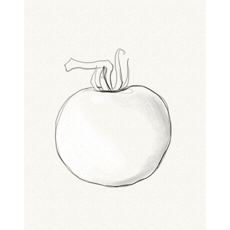Tomate - dessin, H 30 po x l 20 po