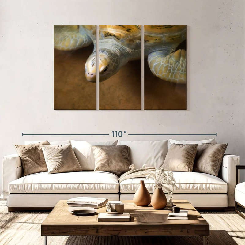 Brampt Stunning Turtle, 48" H x 74" W