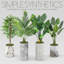 45 po olivier artificiel en pot-2090345520