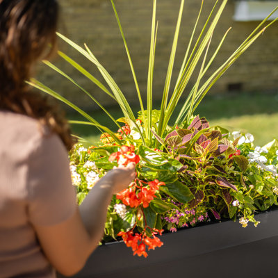 Bordeaux Resin Trough Planter