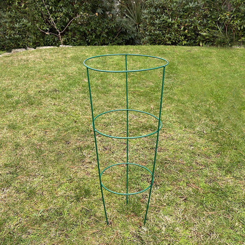 Aieden Metal Weather Resistant Plant Support, 60 x 25 x 25 cm