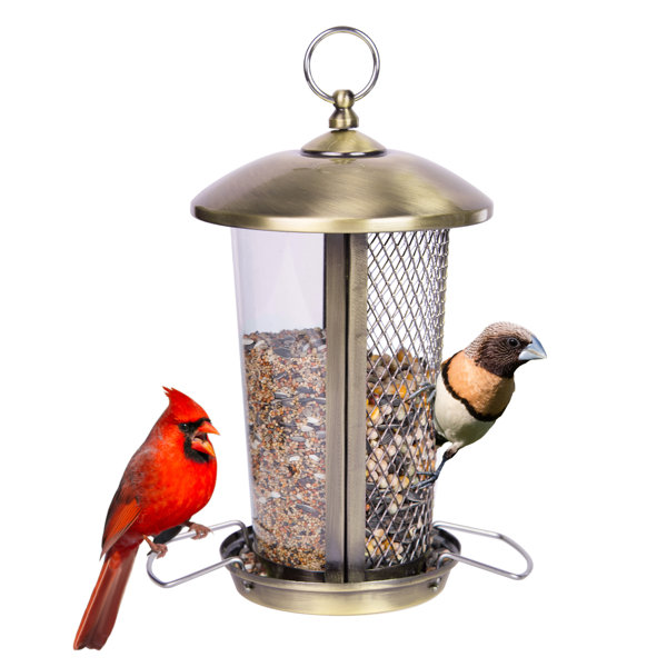 Kingsyard Metal Hanging Hopper Bird Feeder & Reviews | Wayfair