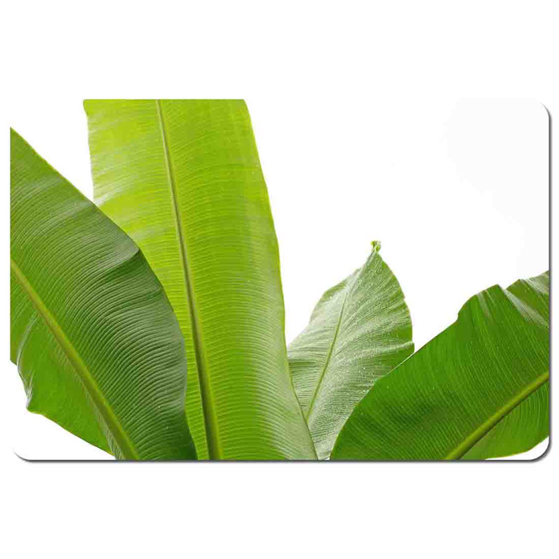Monserratte Polyester Coated Hardwood Rectangle Placemat