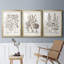 Sépia Besler Botanicals I - ensemble de 3 reproductions de cadres photo-69879055-69879060