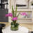29.5" Purple Orchid Arrangement in a Circular Glass Vase with Undergrowth and Greenery | Real Touch Purple Moth Orchids by Fiori Sempre