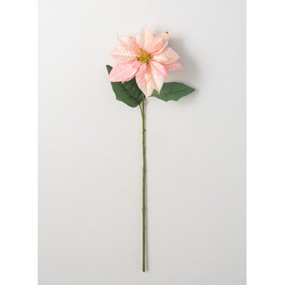 Norb Poinsettia Arrangement