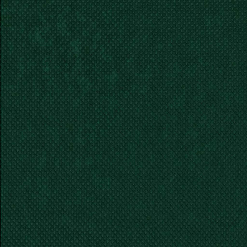 Vidaxl Plant Fleece Frost Protection Outdoor Plant Cover Garden Fleece 70 G/M², Green