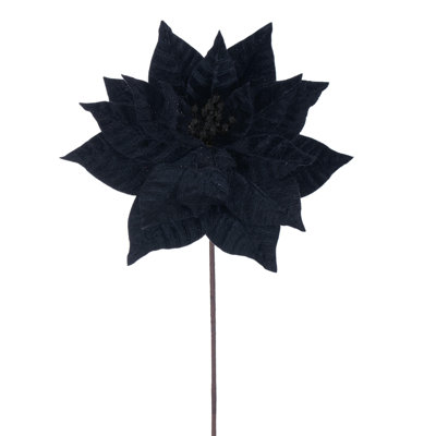 Tige de poinsettia noire 21,5 po Primrue, comprend 6 pièces par sac.
