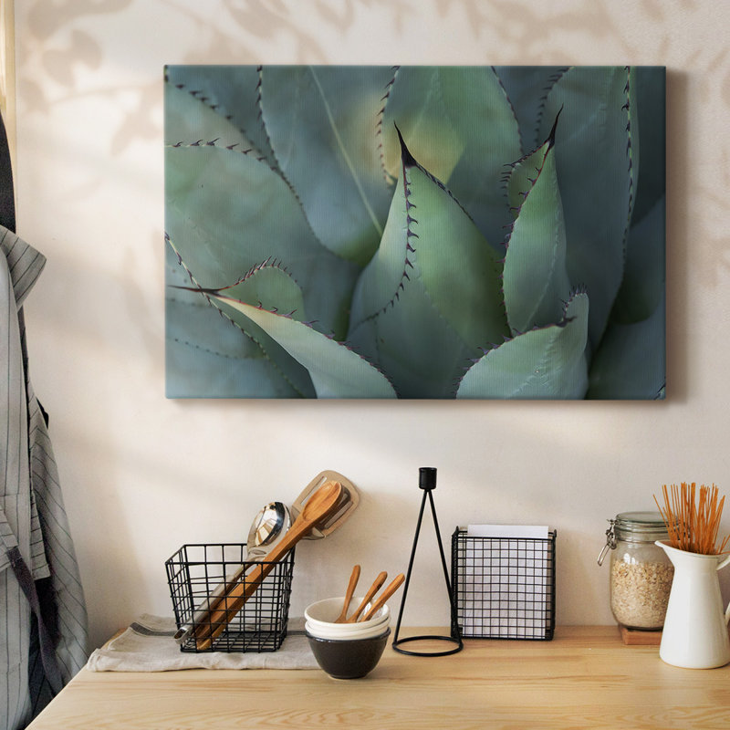 Agave bleue, toile tendue I-Gallery, H 12 po x l 18 po