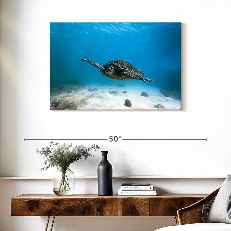 Tortue bleue Brampt, H 24 po x l 36 po