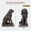 Serre-livres Cavalier King Charles Spaniel-129983932