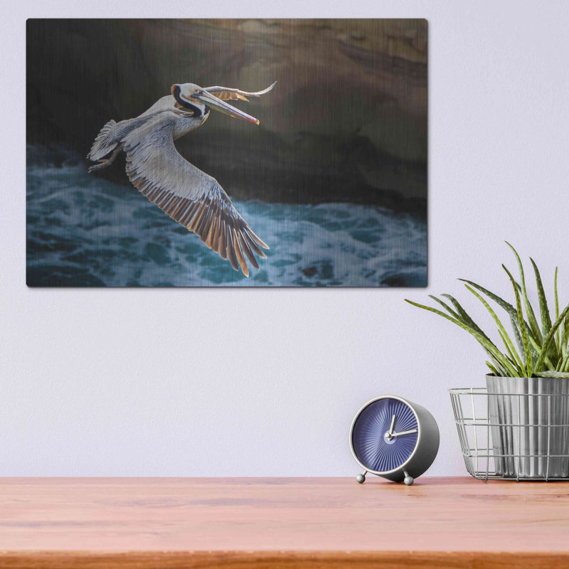 «Pelican Flight» par Chris Moyer, art mural en métal, L 16 po x H 12 po x P 0,13 po