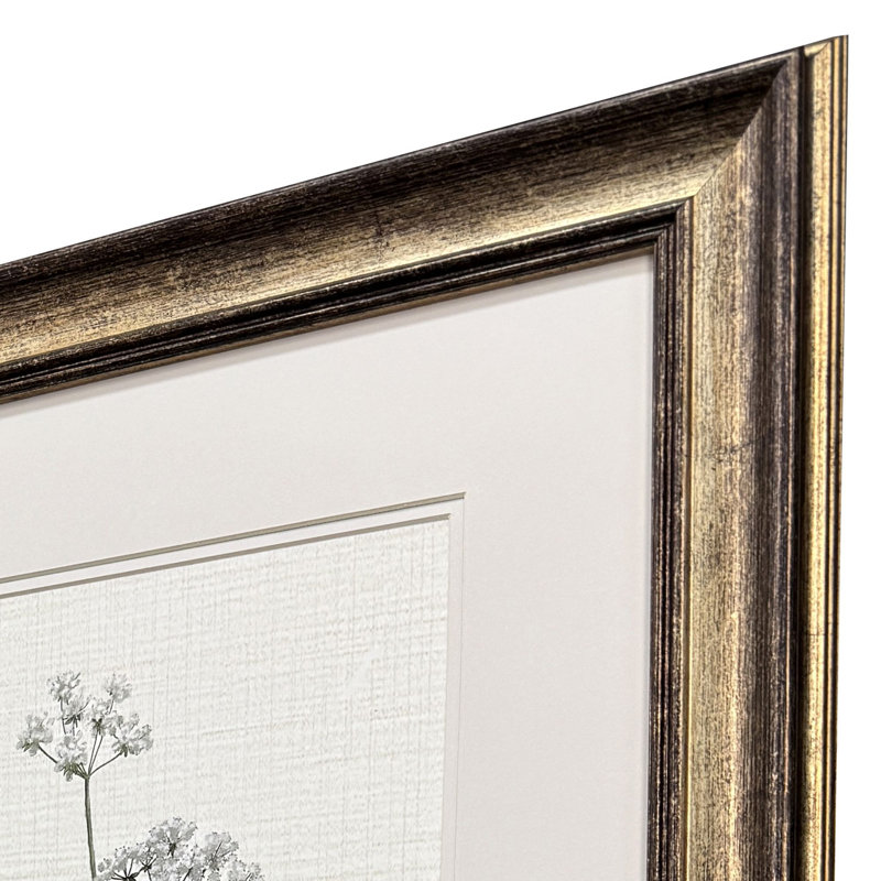 Botanical Whites Framed Art