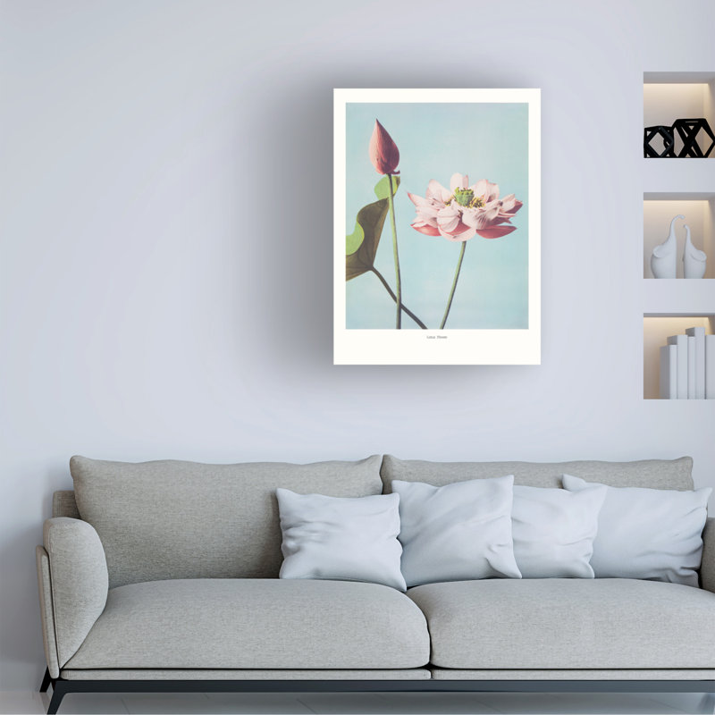Fleurs de lotus