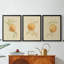 Dappled Oranges I - Toile tendue avec châssis sur mesure - 3 pièces-37366258-37366260