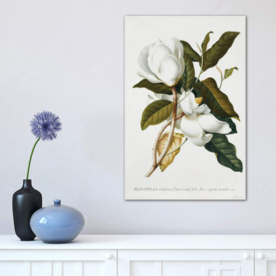 Magnolia, 1 Piece Wrapped Canvas Wall Art