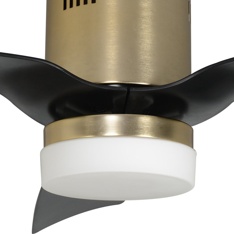 Ventilateur de plafond intelligent d'intérieur / extérieur Spezia, ensemble d'éclairage à DEL à intensité variable et télécommande, fonctionne avec l'assistant Google, Amazon Alexa et les raccourcis Siri.
