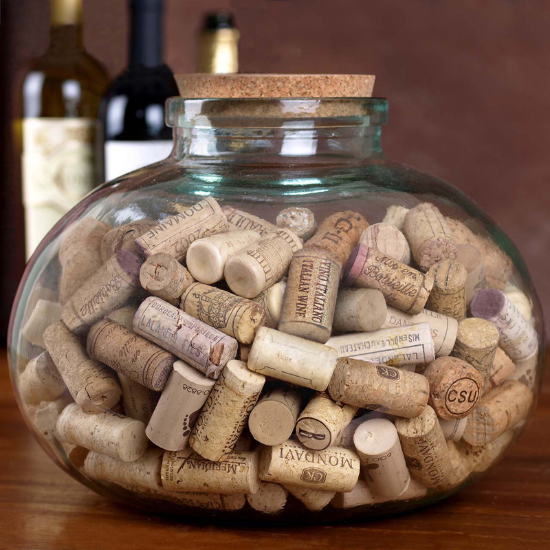 2-Gallon Decorative Glass Bean Jar and Terrarium with Natural Cork Lid