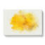 Sole Yellow Daffodil In Abstract - Wrapped Canvas Print-55339697