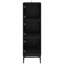 Accent Cabinet