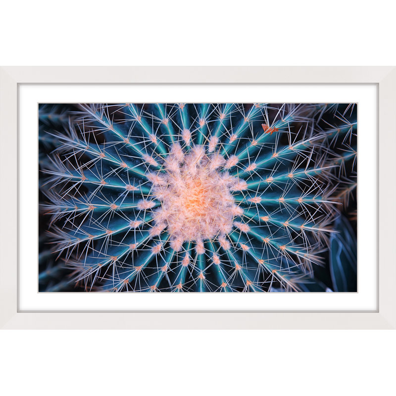 Single Picture Frame Print, 61cm H x 91cm W