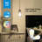 7 Watt (60 Watt Equivalent), ST58 LED Non-Dimmable Light Bulb, E26 Base-61152507
