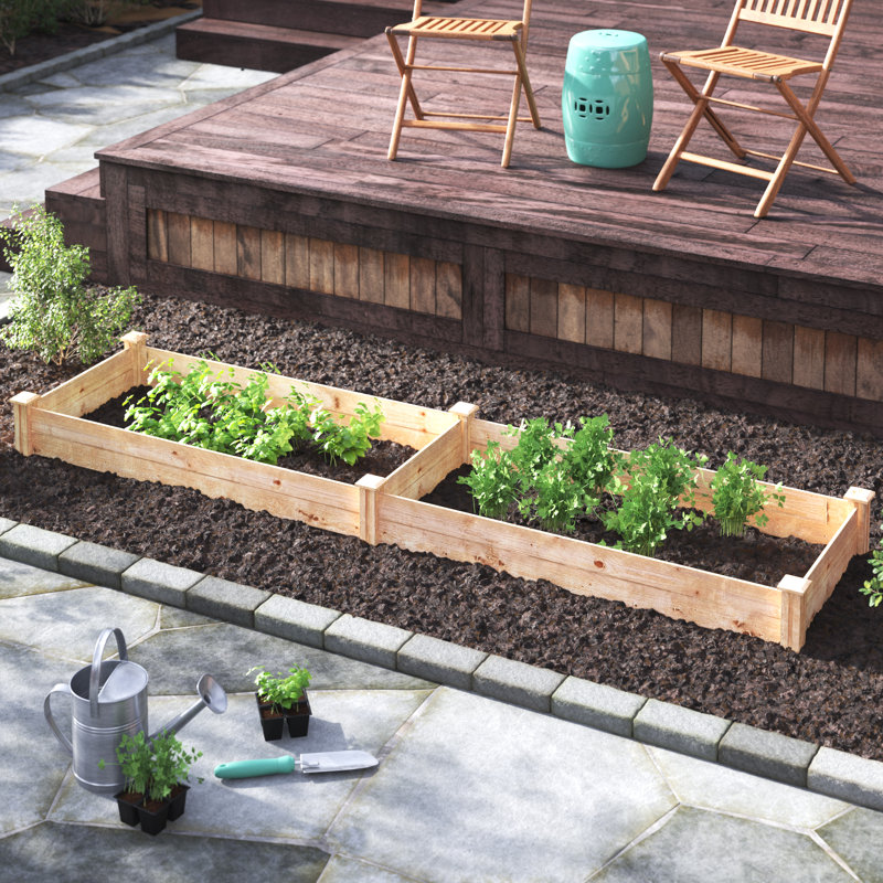 Katsuyoshi Wood Raised Garden Bed, 7" H x 96" W x 24" D, Cedar