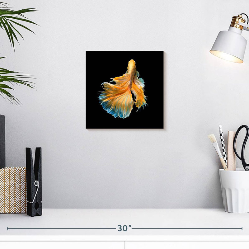Brami poisson de chasse jaune grandiose, H 10 po x l 10 po