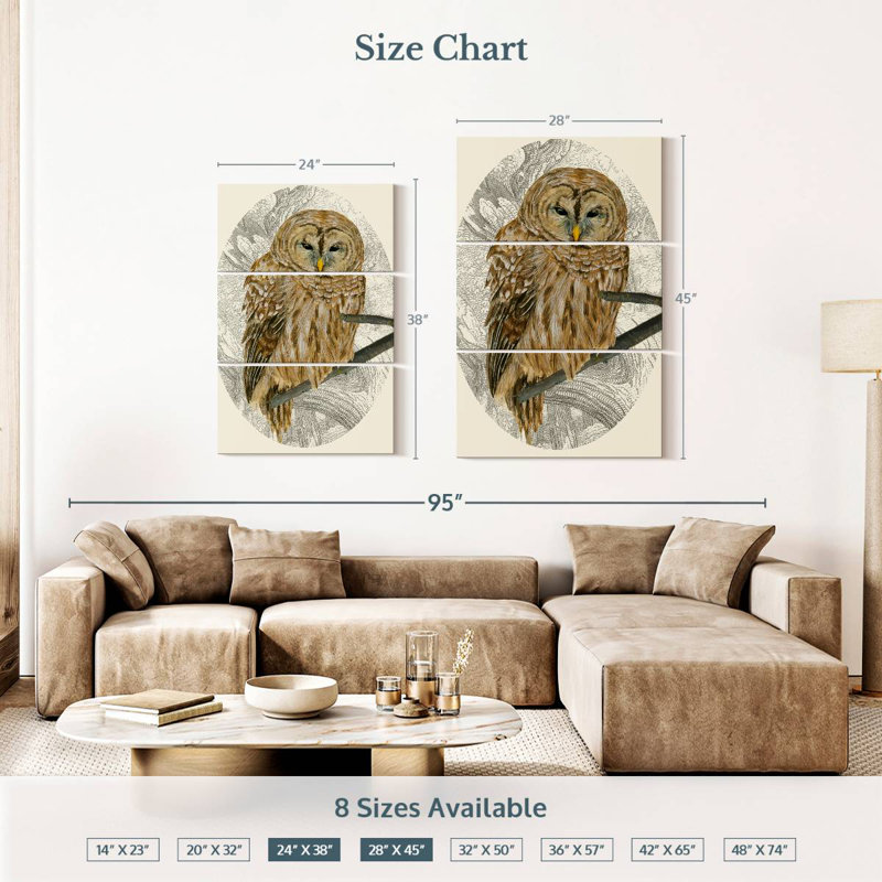 Brampt Barred Owl I, 38" H x 24" W