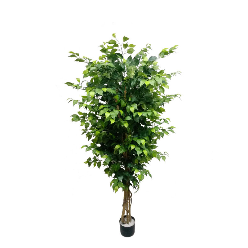 6ft Tall Artificial Ficus Tree In Black Pot, 2