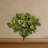 Pothos Artificial Plant