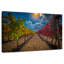 Yarlin Vineyard-111983458